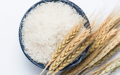 gạo