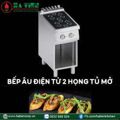 Bếp âu điện từ 2 họng cửa mở I05VV