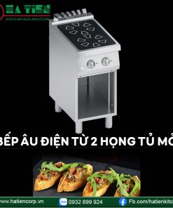 Bếp âu điện từ 2 họng cửa mở I05VV