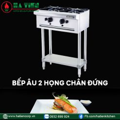 Bếp âu 2 họng chân đứng Berjaya OB2SFS