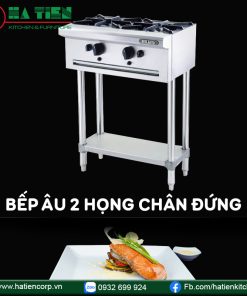 Bếp âu 2 họng chân đứng Berjaya OB2SFS