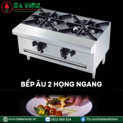 Bếp âu 2 họng ngang Berjaya OB 2S