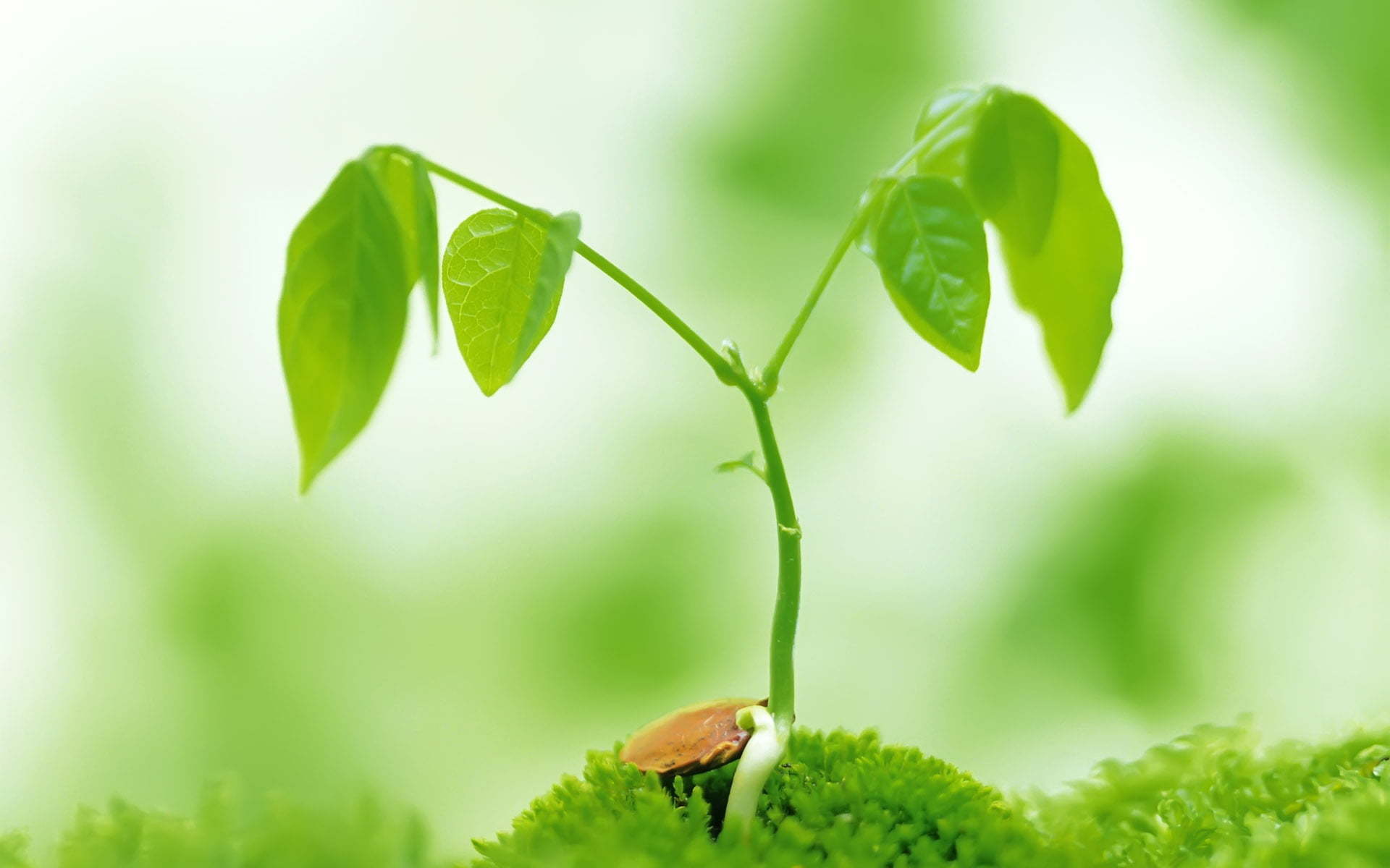 Thiết kế bếp nhà hàng