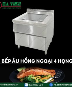 bếp âu 4 họng điện từ 2