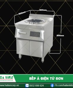 bếp á điện từ đơn
