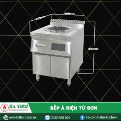 bếp á điện từ đơn