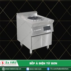 bếp á điện từ đơn 2