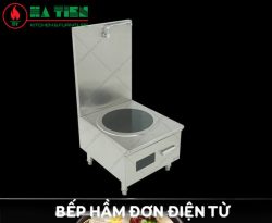bếp từ đơn 1