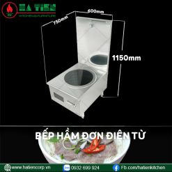bếp từ đơn 2