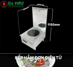 bếp từ đơn 2