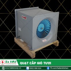 Đa phần quạt được thiết kế hình vuông với kích thước đa dạng