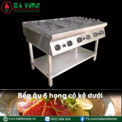 bếp âu 6 họng dùng gas