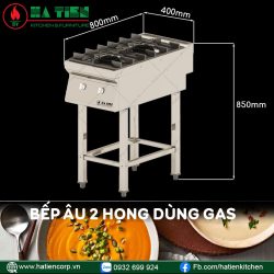bếp âu 2 họng