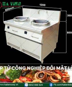 bếp từ công nghiệp đôi