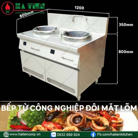 bếp từ công nghiệp đôi