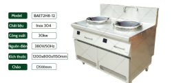 Bếp Điện Từ Công Nghiệp