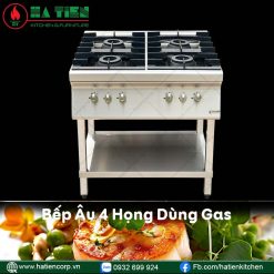 bếp âu 4 họng gas
