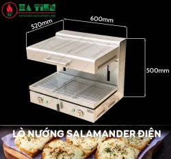 lò nường điện salamander