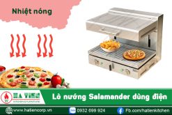 Lò Nướng Công Nghiệp