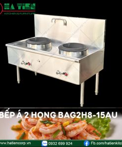 bếp á công nghiệp 2 họng