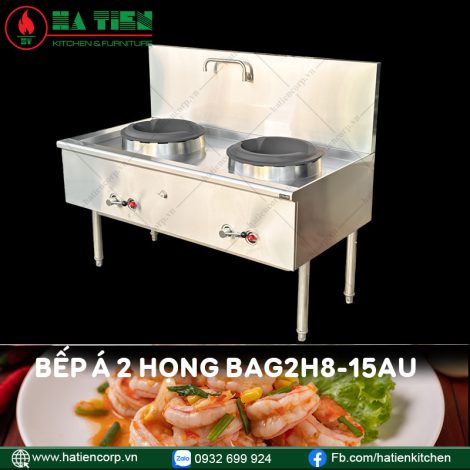 bếp á công nghiệp 2 họng