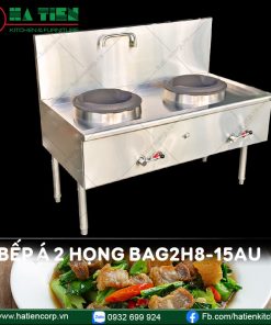 bếp á công nghiệp 2 họng