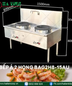 bếp á công nghiệp 2 họng