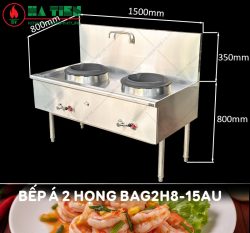 bếp á công nghiệp 2 họng