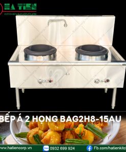 bếp á công nghiệp 2 họng