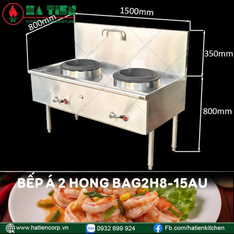bếp á công nghiệp 2 họng