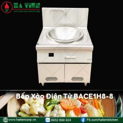 bếp xào đơn điện từ