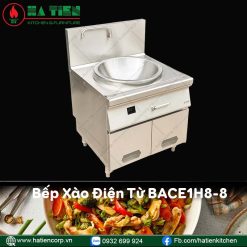 bếp xào điện từ 1 họng
