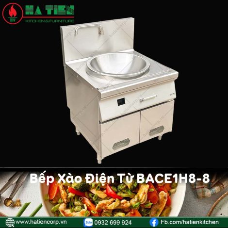 bếp xào điện từ 1 họng