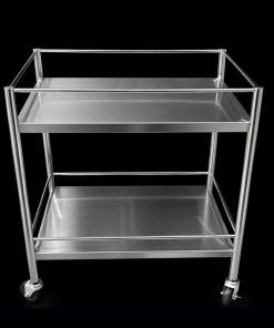 Xe đẩy thức ăn inox 2 tầng